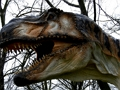 Spiel T-Rex Dinosaurier Puzzle  Online