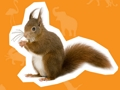 Spiel Tierhaus  Online