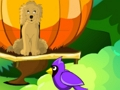 Spiel Blütengarten entkommen Online