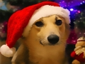 Spiel Lustige Weihnachtshunde  Online