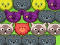 Spiel Pop-Pop-Kätzchen  Online