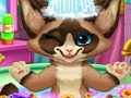 Spiel Kätzchenbad  Online