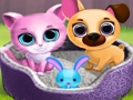 Spiel Nette Haustierfreunde  Online