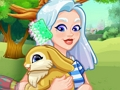 Spiel Kristall nimmt einen Hasen an  Online
