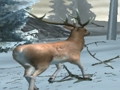 Spiel Waldjäger  Online