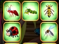 Spiel Insekten stoßen zusammen  Online