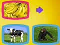 Spiel Was essen Tiere?  Online