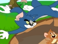 Spiel Tom und Jerry in Zusammenarbeit  Online