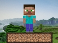 Spiel Minecraft-Überleben  Online