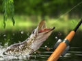 Spiel Fang am Morgen  Online
