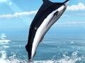 Spiel Azurblaues Meeresangeln  Online