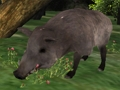 Spiel Wildschweinjagd Puzzle  Online