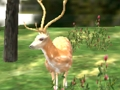 Spiel Tiersafari Jäger 2020  Online