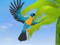 Spiel Papageiensimulator  Online