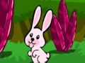 Spiel Hüpfende Kaninchenflucht  Online