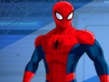 Spiel Spiderman Töte Zombies  Online