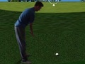 Spiel Flash Golf 3d  Online