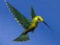 Spiel Flucht aus dem Kolibrihaus  Online