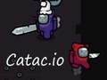 Spiel Katak. io  Online