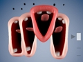Spiel Lustiger Chor  Online