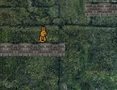 Spiel Hasenabenteuer  Online