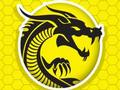 Spiel Kung Fu Fury Online