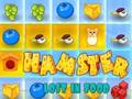 Spiel Hamster im Essen verloren  Online