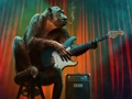 Spiel Affe Musik Puzzle  Online