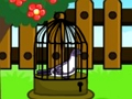Spiel Taube Flucht  Online