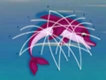 Spiel Delfinrettung  Online