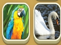 Spiel Match Zoo Online