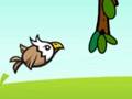 Spiel Verrückter Adler!  Online