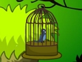 Spiel Käfigvogelflucht  Online