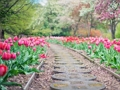 Spiel Weg Puzzle  Online