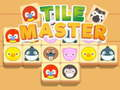 Spiel Kachel-Master-Match  Online