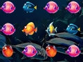 Spiel Welt der Fische  Online