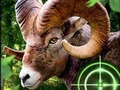 Spiel Verrückter Ziegenjäger 2020  Online