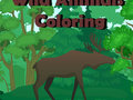 Spiel Färbung der wilden Tiere  Online
