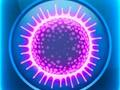 Spiel Sporen  Online