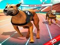 Spiel Verrücktes Hunderennen  Online