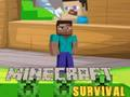Spiel Minecraft-Überleben  Online