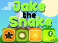Spiel Jake die Schlange  Online