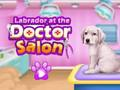 Spiel Labrador im Arztsalon  Online