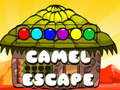Spiel Kamelflucht  Online