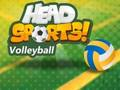 Spiel Leiter Sportvolleyball  Online