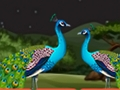 Spiel Paar Papageienflucht  Online