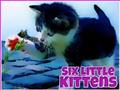 Spiel Sechs kleine Kätzchen  Online