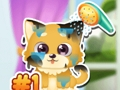 Spiel Lustige Welpenpflege  Online