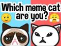 Spiel Welche Meme-Katze bist du?  Online