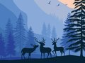 Spiel Landschaftsparadies versteckt  Online